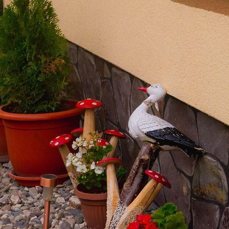 Casa Pop Hotel Săpînţa Kültér fotó